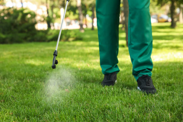 Best Flea Control Services  in Palm Coast, FL