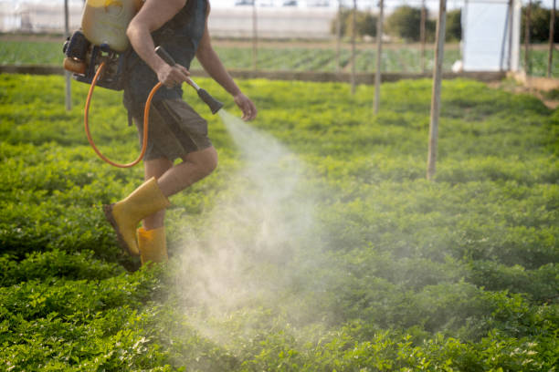 Best Residential Pest Control  in Palm Coast, FL