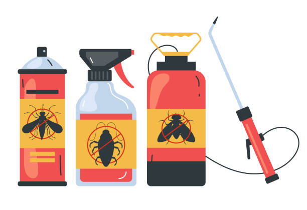 Best Affordable Pest Control Services  in Palm Coast, FL