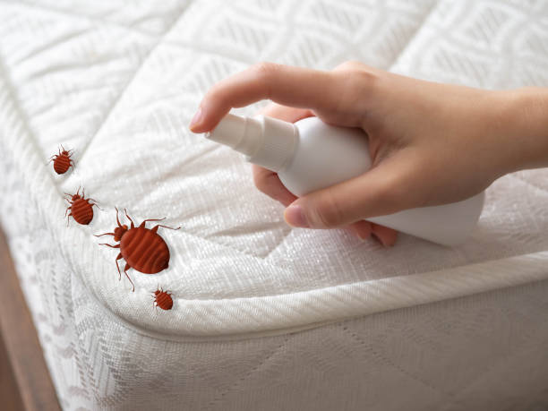 Best Pest Removal Services  in Palm Coast, FL